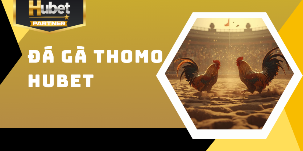 Đá gà Thomo Hubet - Kịch tính đỉnh cao, chiến kê hàng đầu 2 Đá gà Thomo Hubet - Kịch tính đỉnh cao, chiến kê hàng đầu